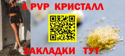 шишки Дубна