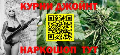 шишки Дубна