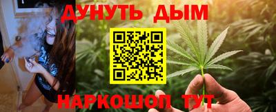 шишки Дубна